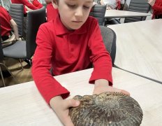 img (3)